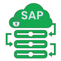 Secure SAP Data Migration