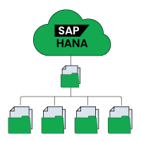 SAP HANA