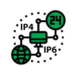 IPv4 and IPv6 support